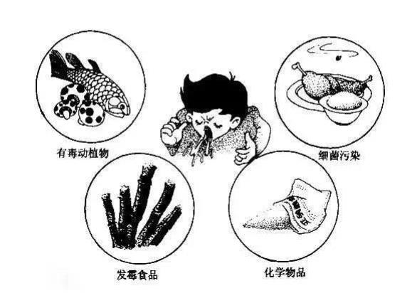 实验幼儿园食品安全温馨提示